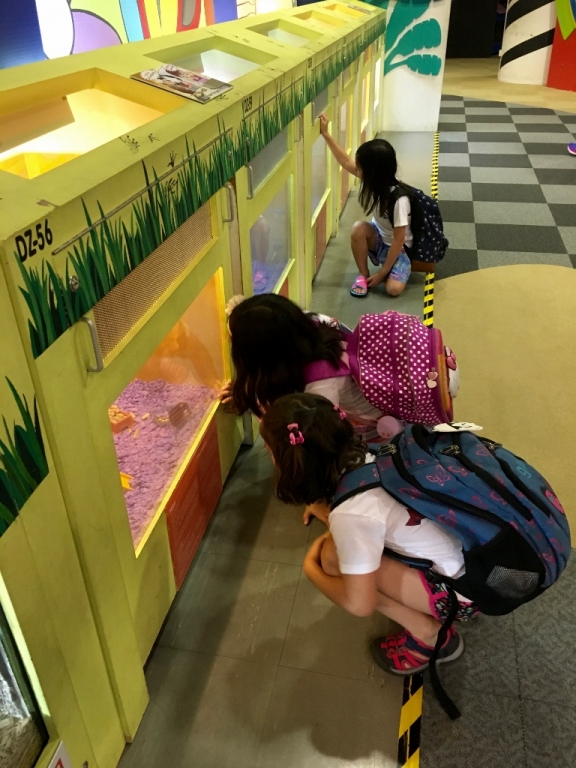 Village Camps International Summer Camp VDC Singapore 2017-07-28 https://www.villagecamps.com/journals_admin/images/1686-7586-IMG_8910 (768x1024).jpg